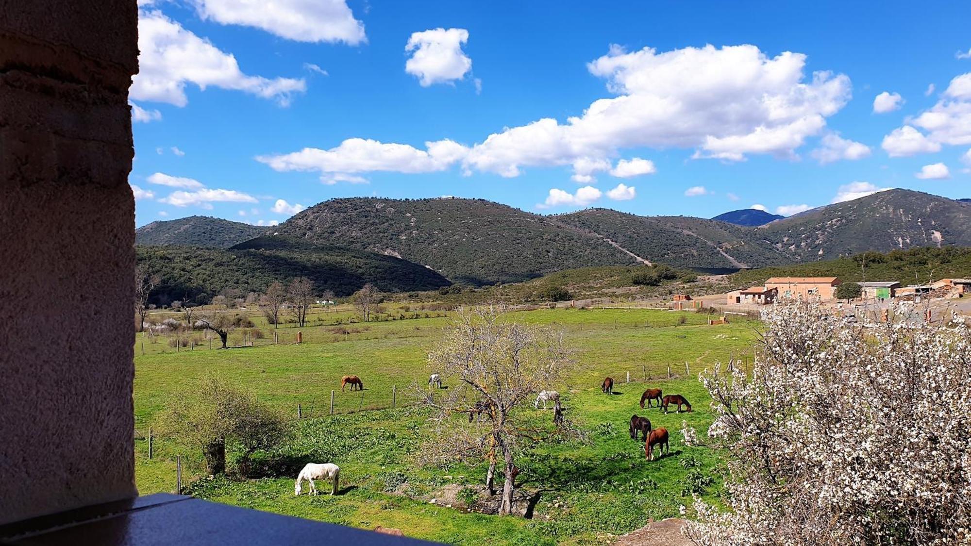 Casa Con Piscina En Parque Nacional De Cabaneros * Navas de Estena